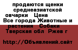продаются щенки среднеазиатской овчарки › Цена ­ 30 000 - Все города Животные и растения » Собаки   . Тверская обл.,Ржев г.